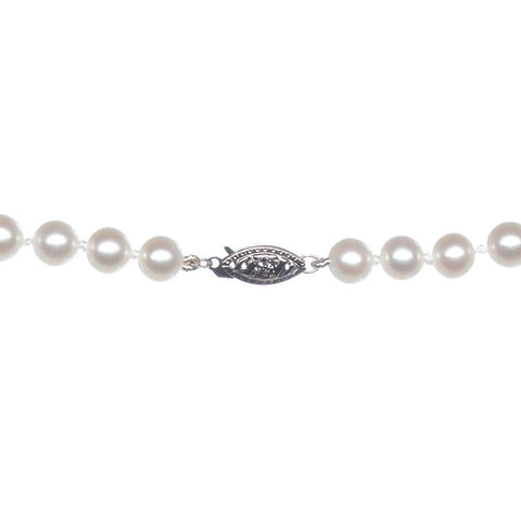 Freshwater Pearl Necklace Close Up